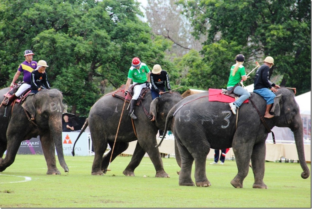 2012_09_06 Thailand Hua Hin Elephant Polo (14)