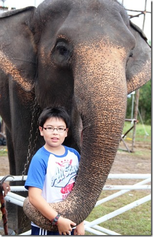 2012_09_06 Thailand Hua Hin Elephant Polo (8)